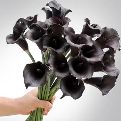 高级感马蹄莲彷真花 湿感假花白紫黑海芋彷生花软装拍摄家居摆饰