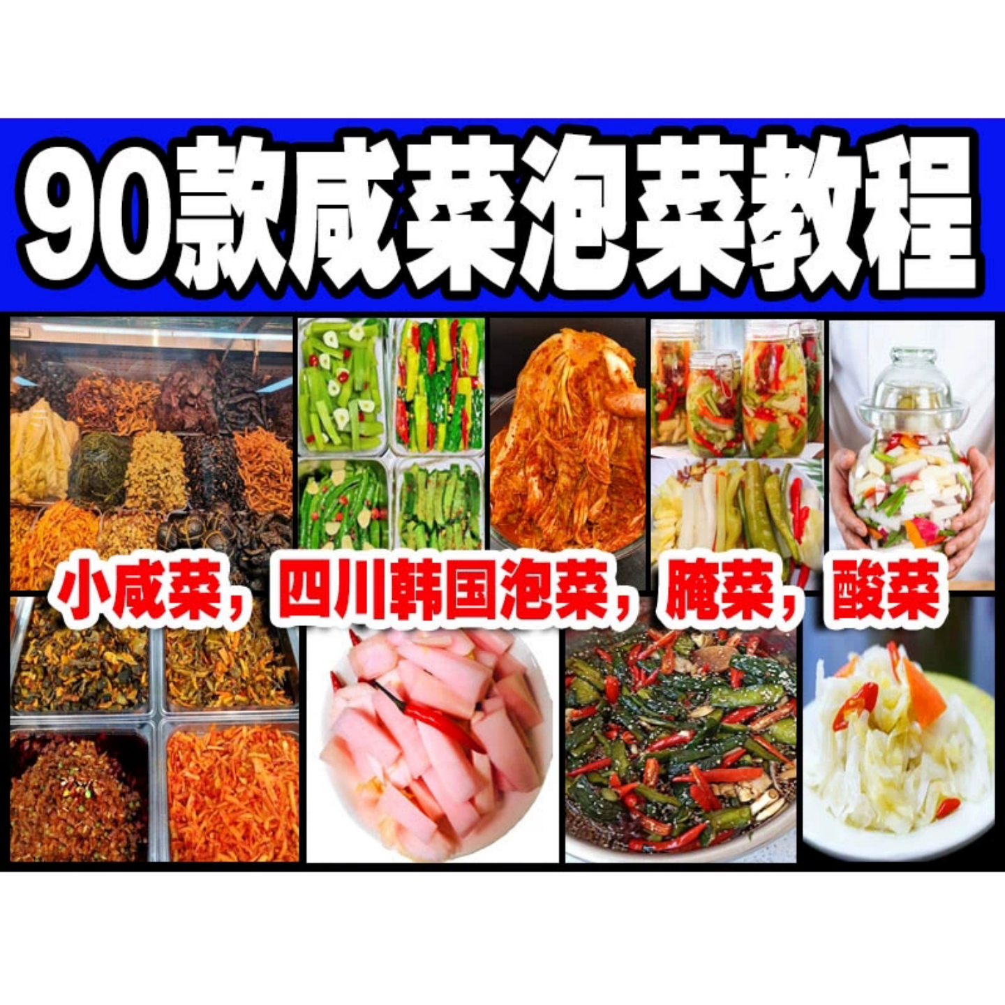 泡菜教程小咸菜0306四川腌制酸菜美食制作教程菜谱美食资料电子版