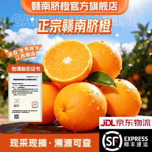 水果江西赣州新鲜橙子产地直发礼盒 正宗赣南脐橙当季 官方严选