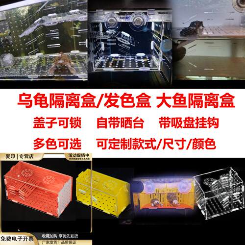 乌龟隔离盒自带晒台水族亚克力发色盒蛋龟饲养盒红面窄桥萨尔文