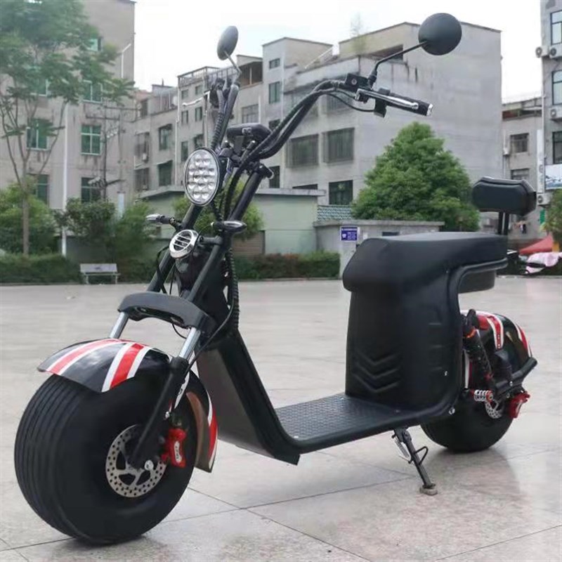 新品包邮锂电哈雷电动车大轮宽胎踏板自行车两轮电瓶车成人上班代