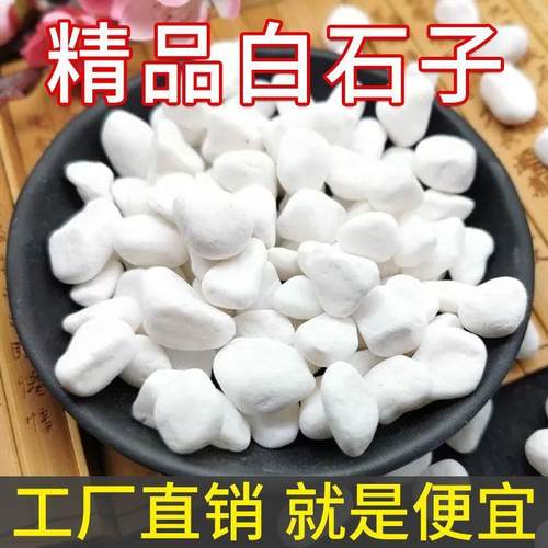 小白石子多肉铺面石头养花鹅卵石雨花石鱼缸造景盆栽庭院铺路包邮