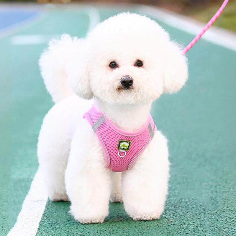 狗狗牵引绳小型犬比熊泰迪博美背心式胸背带遛狗绳狗链子宠物牵引