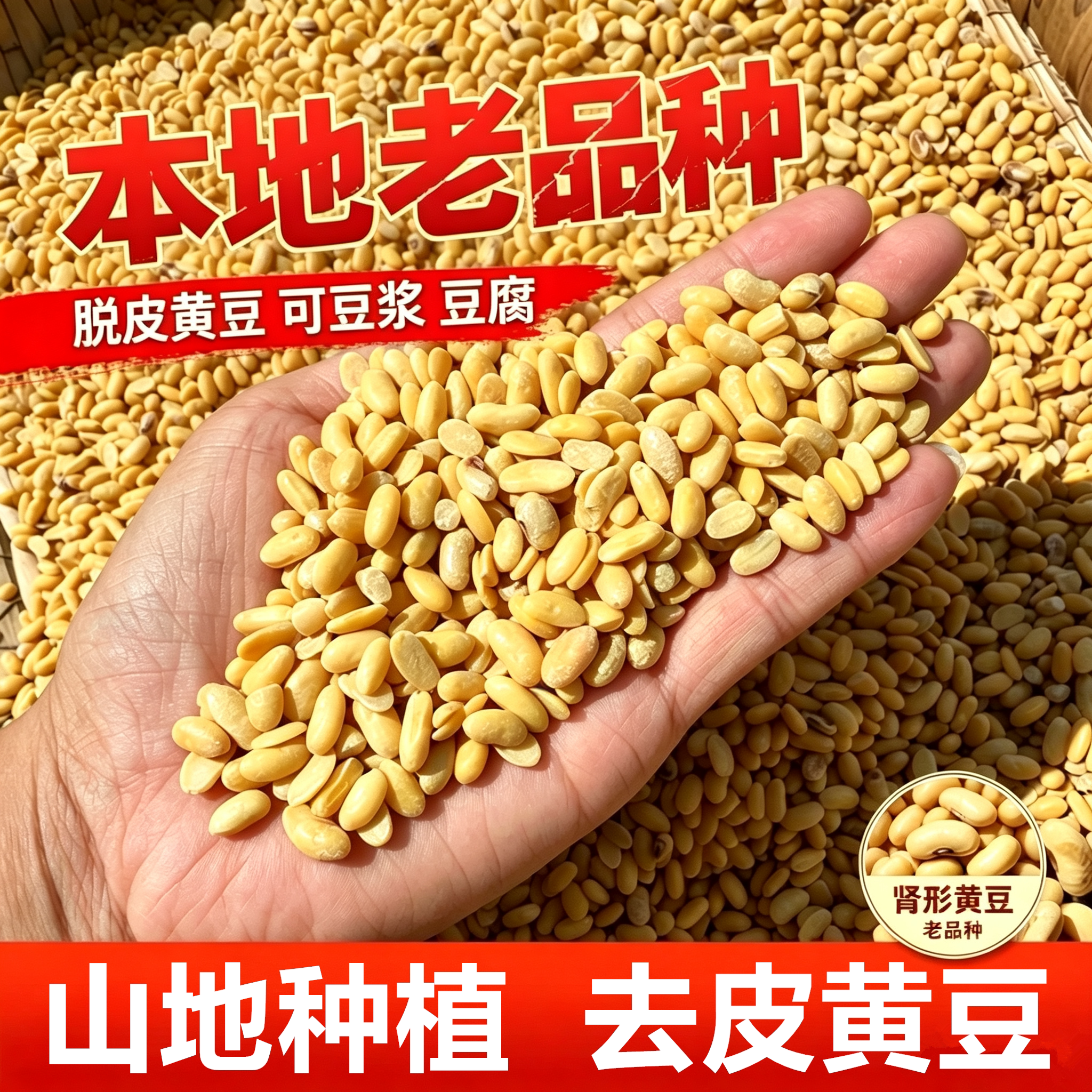 兴县肾形脱皮黄豆去皮黄大豆打豆浆制作豆腐豆干豆制品加工原料