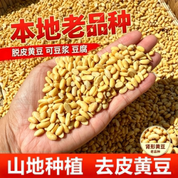 兴县肾形脱皮黄豆去皮黄大豆打豆浆制作豆腐豆干豆制品加工原料
