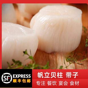 帆立贝柱瑶柱扇贝柱1000g特大宝宝辅食生鲜虾夷扇贝日式带子寿司