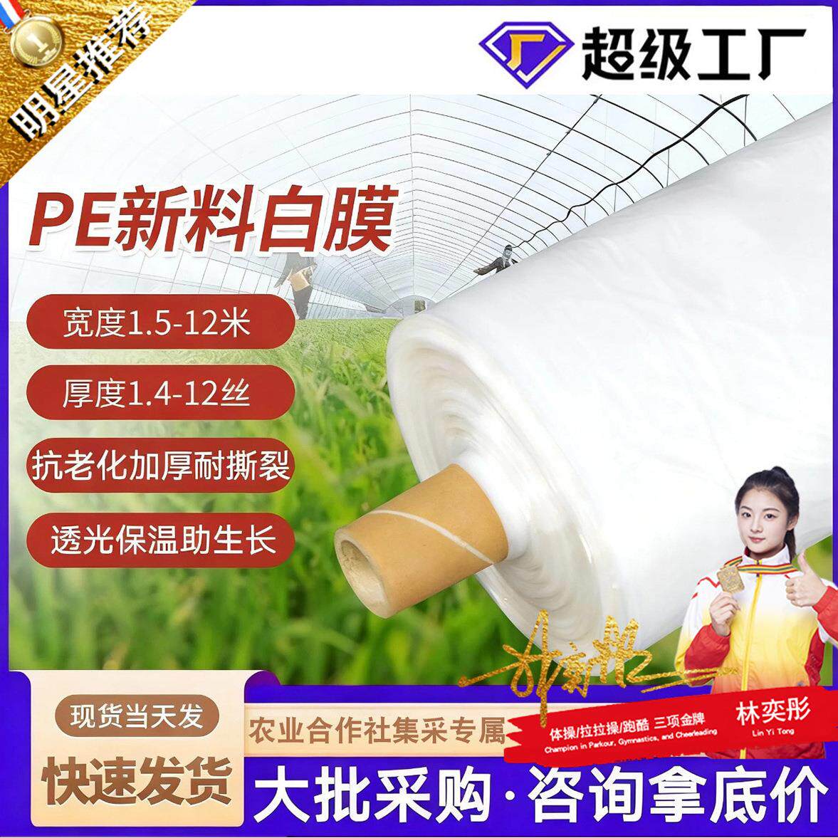 大棚塑料膜蔬菜农膜塑料布透明加厚农用塑料薄膜PE保温白色大棚膜