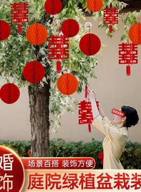 结婚院子绿植挂饰婚礼盆栽植物