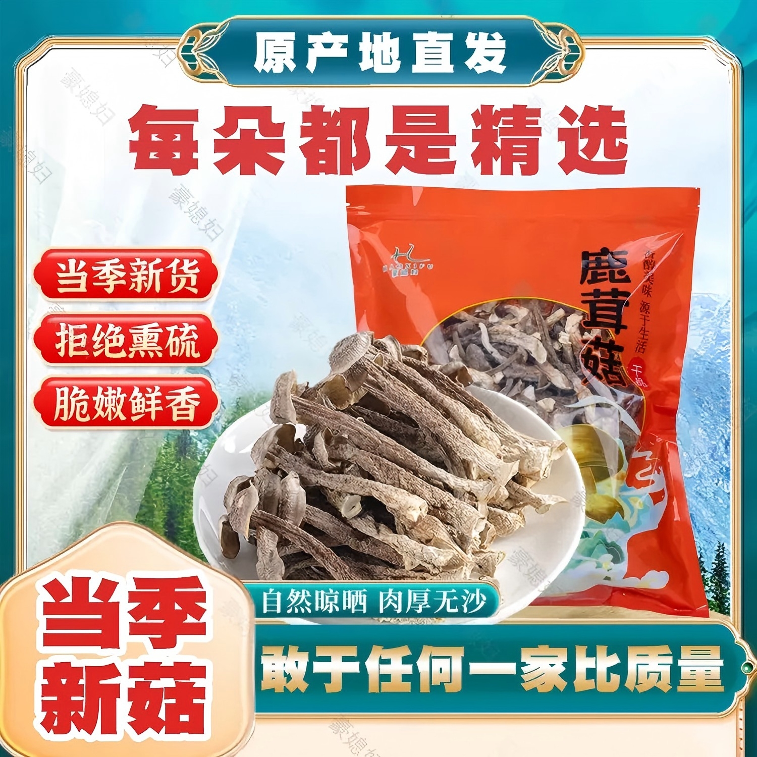 豪媳妇(高山鹿茸菇)菇农自然晾晒鲜香脆爽口好吃还营养价值高火锅