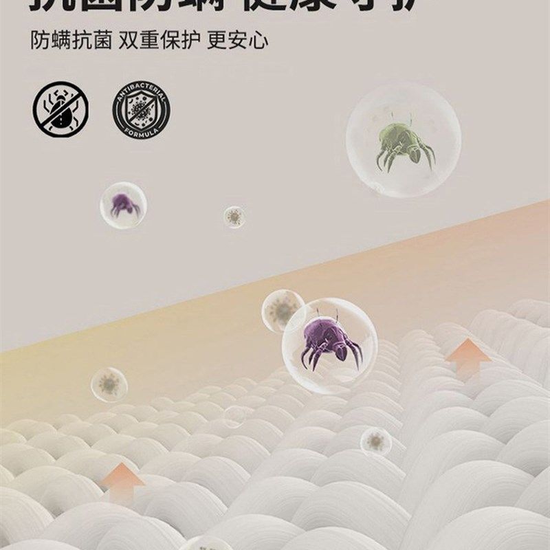 榻榻米床垫四季软垫家用垫被褥子打地铺地垫防滑农村土炕垫子毡子