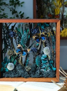 双蝴蝶花园植物标本摆件花卉软装陈列微景观生态园干花相框礼物