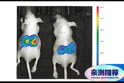 医学软件技术服务送living image小动物活体成像软件4.4新版 IVI