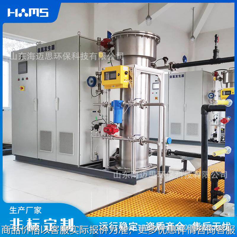 水厂消毒处理臭氧发生器臭氧发生装置臭氧发生设备厂家臭氧机除菌
