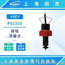 流量计P51530传感器纯水流量测量仪器探头塑壳转轮式流量计