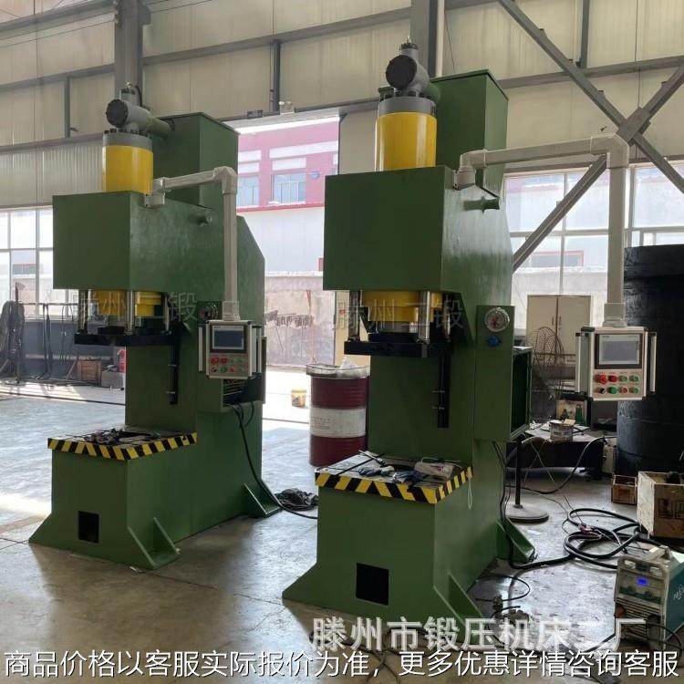 小型台式单臂液压机 100吨单柱冲压成型机 全自动伺服数控压力机