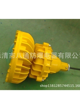 RFBL154 LED防爆高效节能灯，FBL154 LED，《防爆高效节能灯》