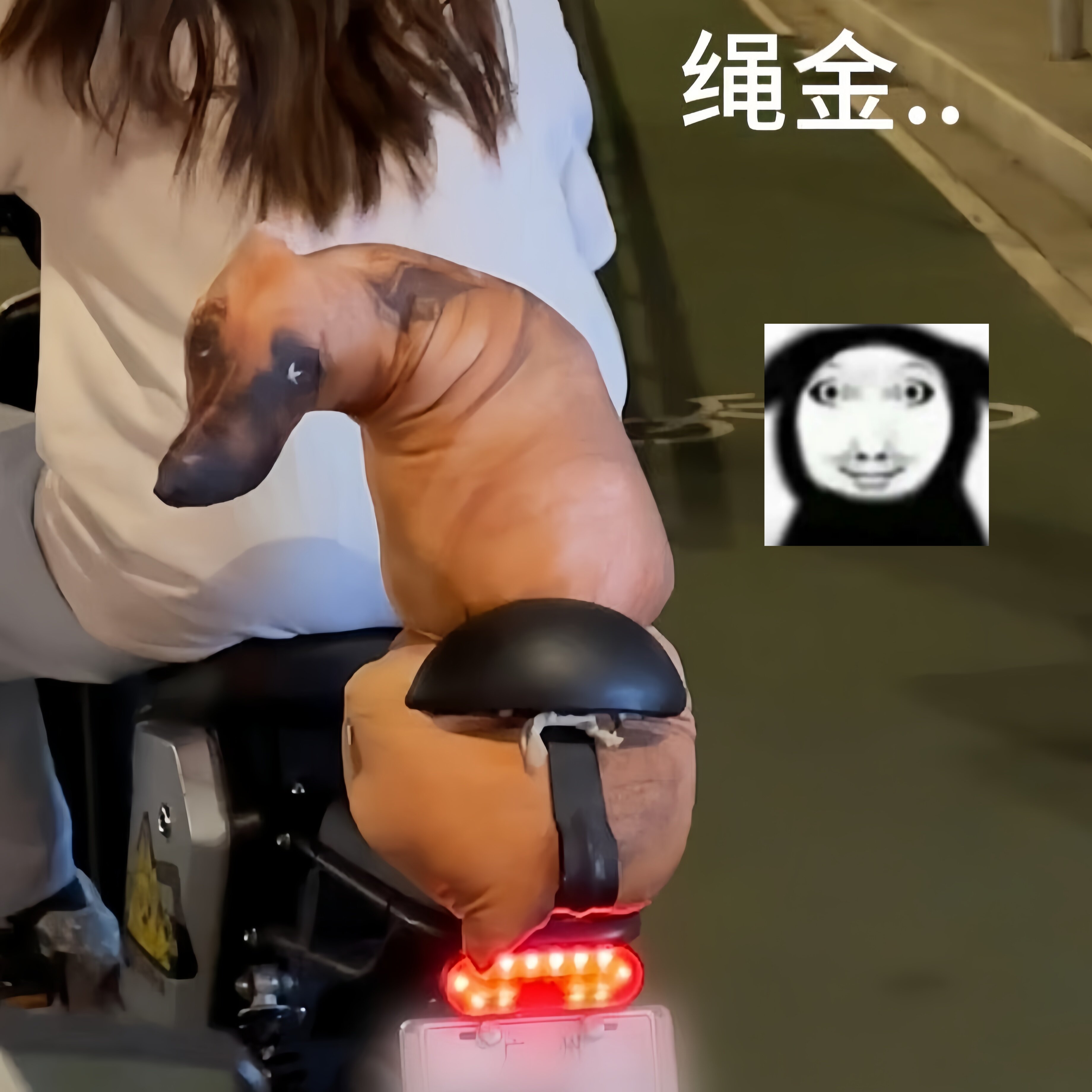 狗狗抱枕搞笑长条狗毛绒公仔睡觉抱靠枕单身狗玩偶七夕礼物送闺蜜