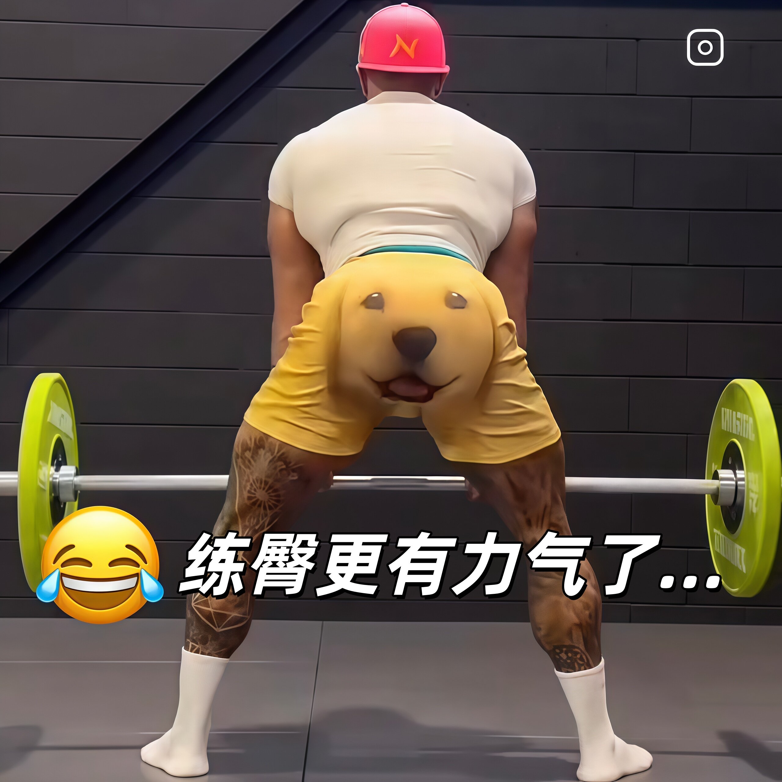 练臀更有力气了...金毛短裤