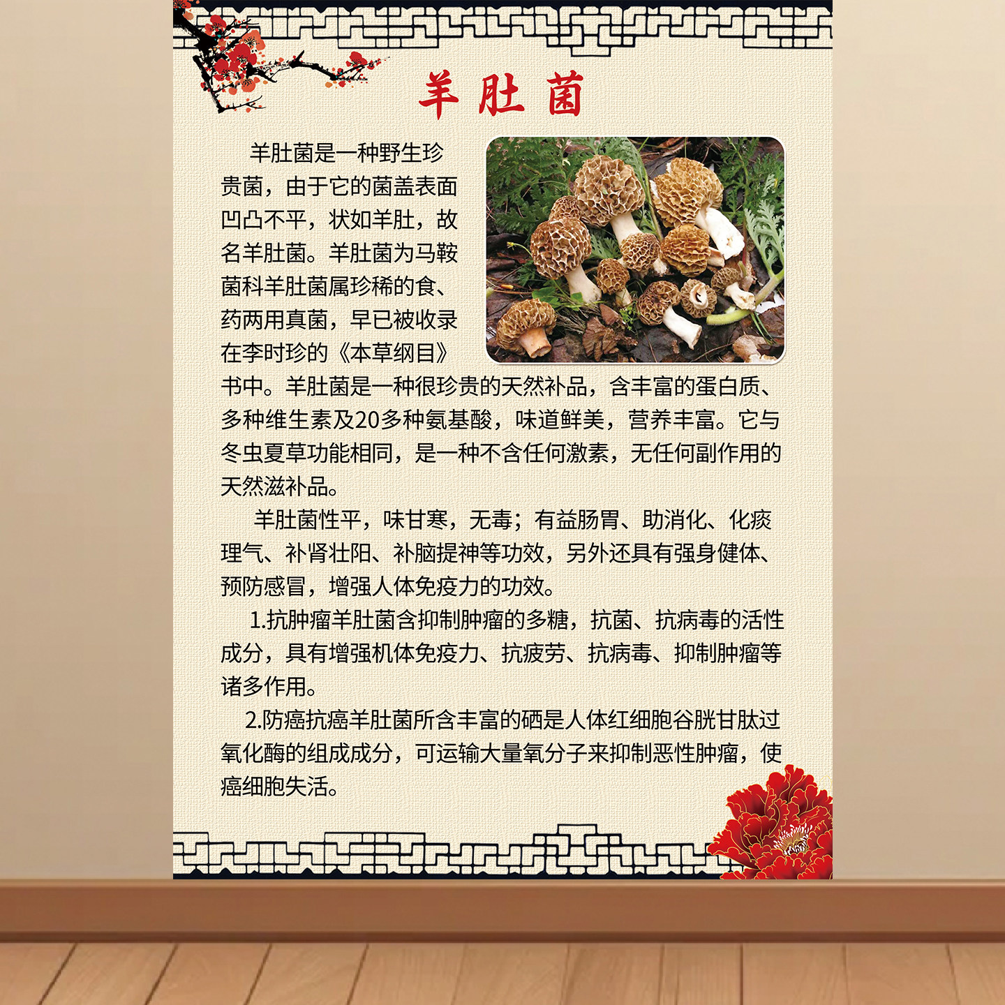羊肚菌简介绍做用功效宣传贴纸挂图展板海报印制宣传画自粘挂图