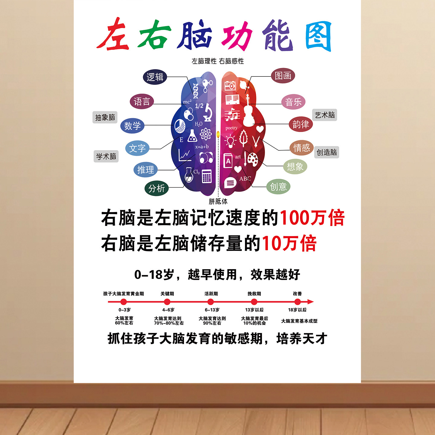 大脑功能分布图贴画婴幼儿童感统左右脑功能图海报早教中心装饰KT