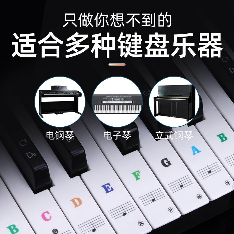 彩色英文无胶琴键贴886154键通用儿童成人钢琴电子琴键盘静电贴纸