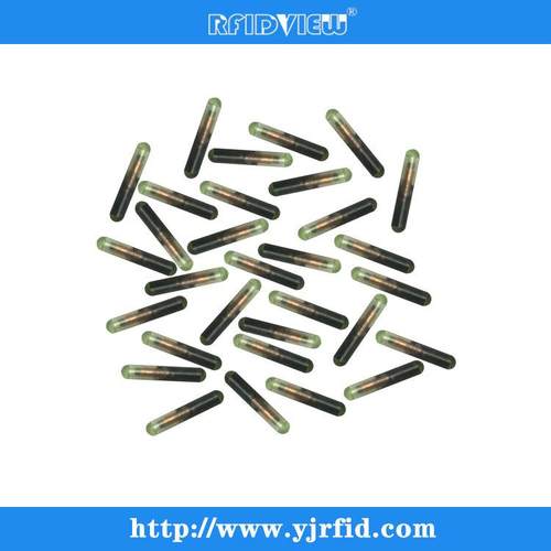 羊用植入式芯片 动物管理标签2.1*12mm，牛、马用芯片标记
