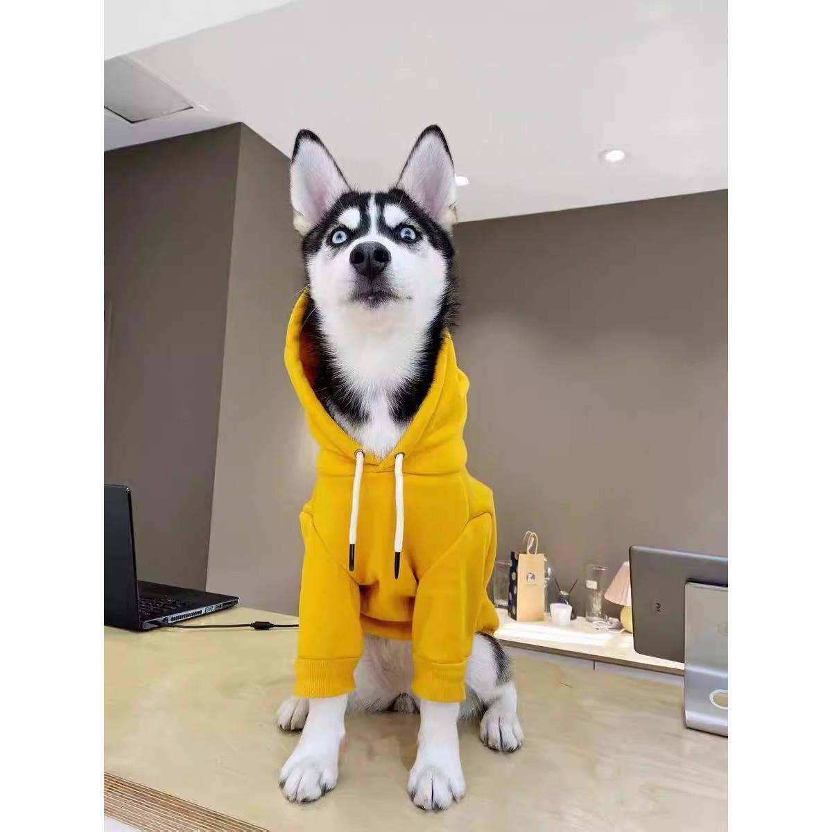 柴犬狗狗秋装加绒秋冬衣服金毛柯基哈士奇边牧萨摩耶中型犬春秋聚