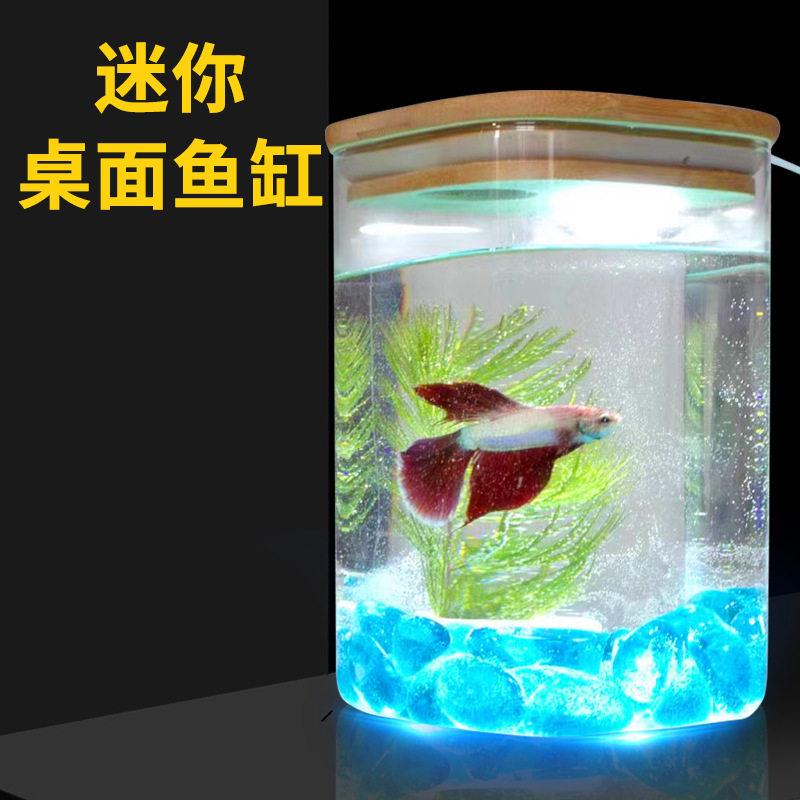泰国斗鱼缸斗鱼双缸微景观桌面摆件超白玻璃小鱼缸公桌电视柜