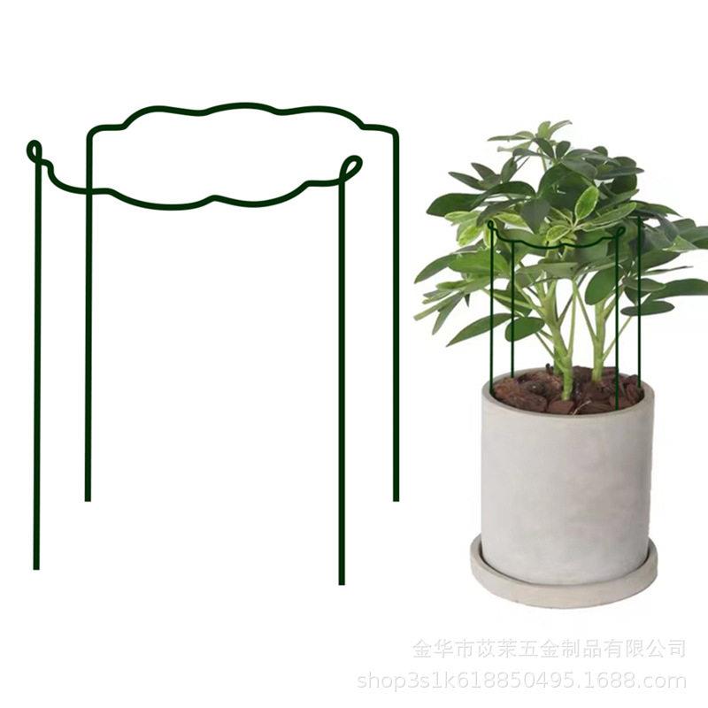 跨境园艺铁丝支柱蟹爪兰月季爬藤花架花卉植物攀爬固定支撑支架杆图片
