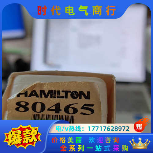 Hamilton 哈密尔顿 微量进样器80465 进样针 ，议价