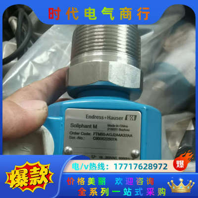 E+H(Endress+Hauser)/恩德斯豪斯物位计(料议价