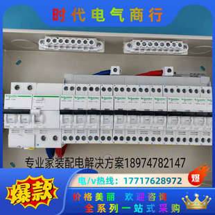 N空开 16回路套装 63A总漏电 双进双议价