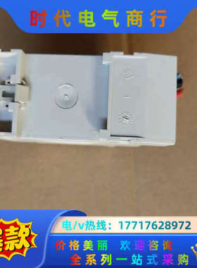 德国泰邦 光控开关 灯具控制器 theben LUNA110议价