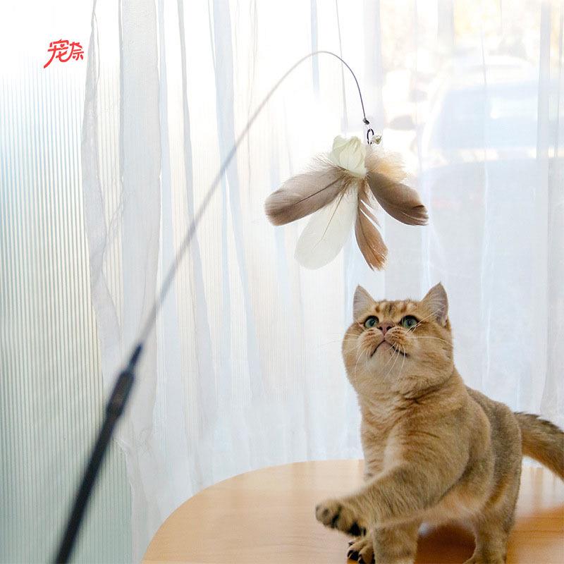 猫玩具逗猫棒长杆钢丝羽毛铃铛逗猫杆替换头自嗨解闷耐咬猫咪用品
