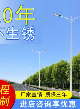 10米双臂路灯  热镀锌6米8米12米路灯杆 公路100wled市电路灯