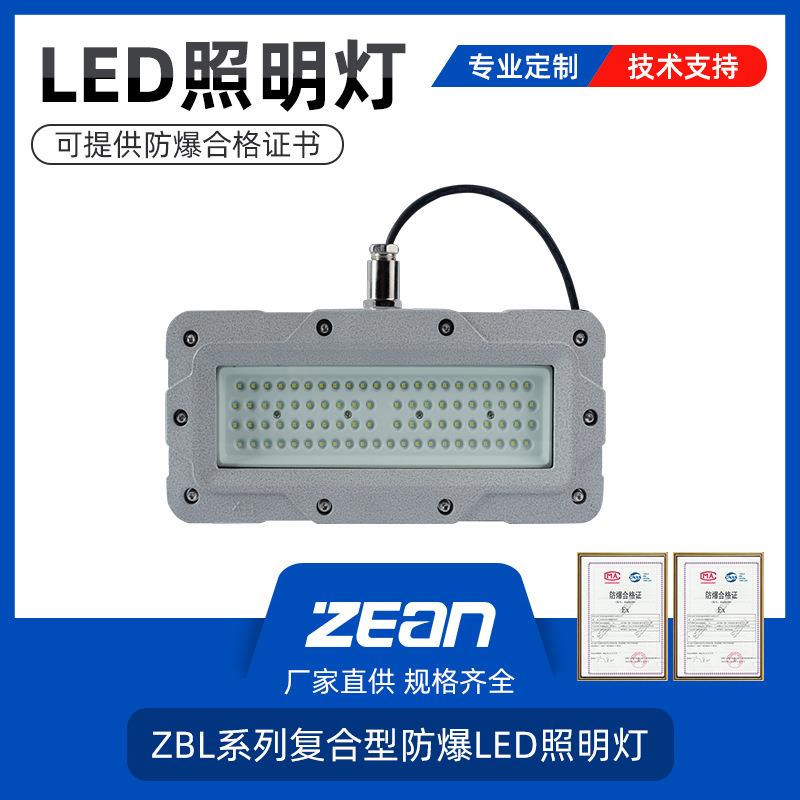 防爆护栏式马路灯立式2.5米50W100w驱动电源方形防爆泛光灯投光灯