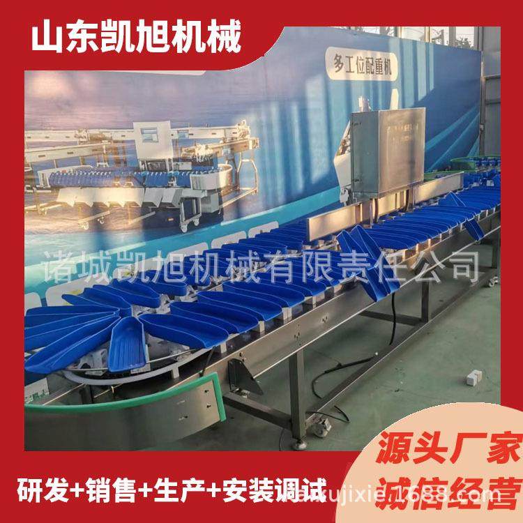 供应食品重量分拣设备 鸭脖鸭腿分选机 黄花鱼鲅鱼称重分拣机,五金/工具,其他包装设备,淘宝优惠券,粉丝福利购,淘宝优惠卷