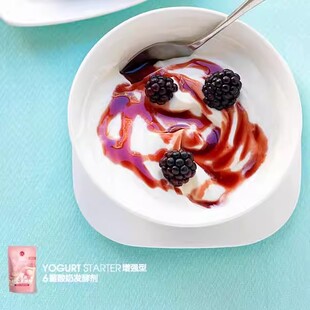 菌丝生活 增强型益生菌酸奶发酵菌粉 家用原味乳酸菌干酪乳杆菌张