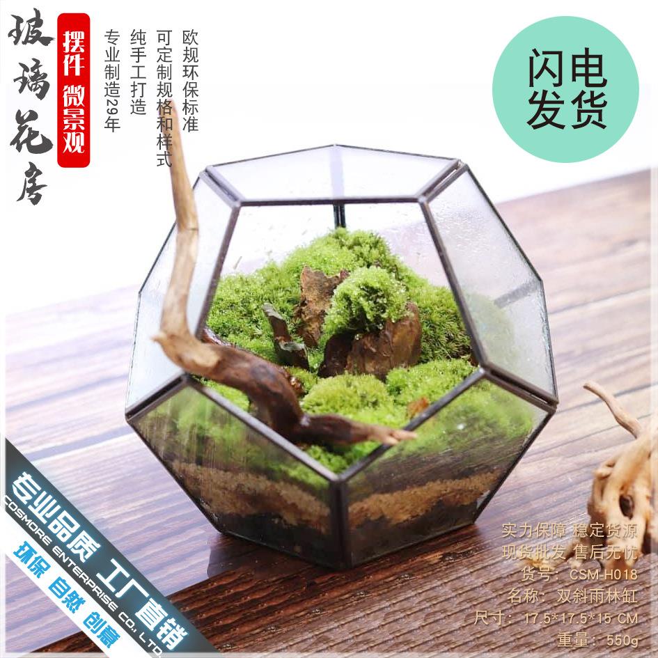 厂家直销爆款十二面体中玻璃花房绿植透明创意苔藓微景观多肉花盆