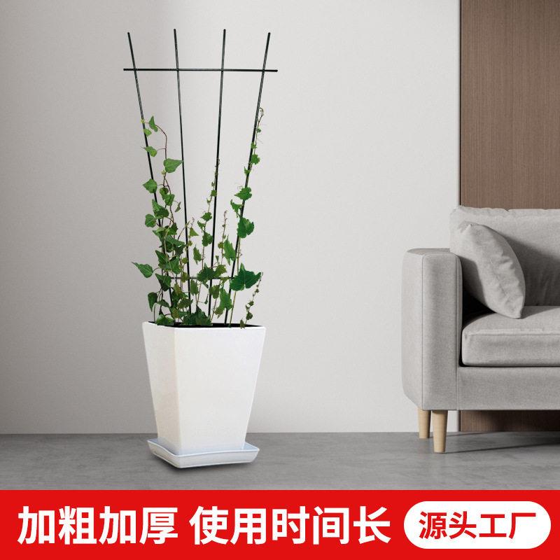 园艺扇形爬藤架月季花支架室内阳台花盆铁艺固定支撑杆花架子网格