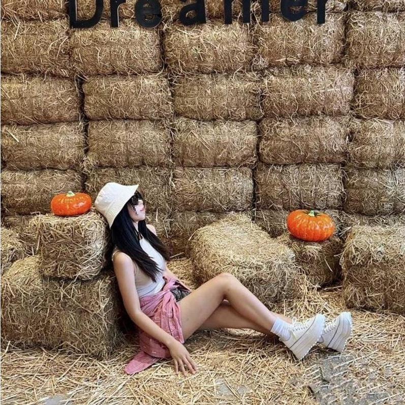 草垛干稻草堆草墩草垛凳子沙发造型露营景点布置干草露营氛围装饰