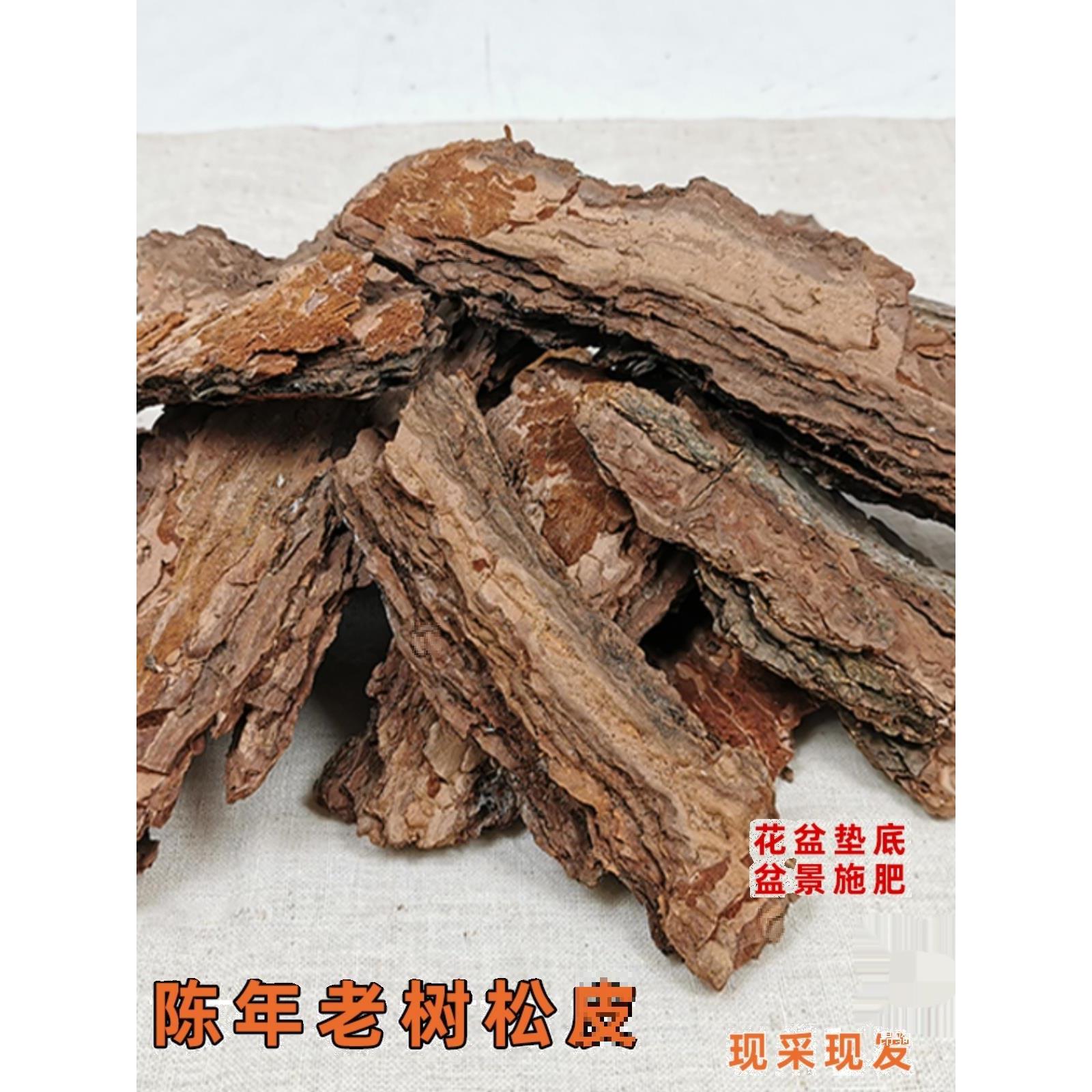 松树皮松鳞片树木花坛营养土介质覆盖物大块花盆垫材松皮原材包邮