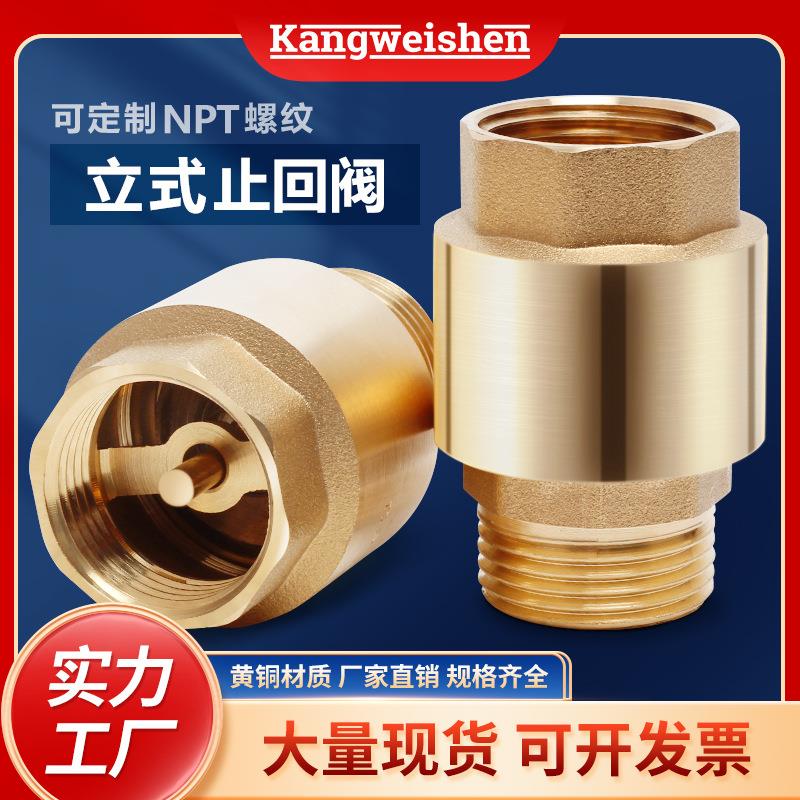 铜锻造加厚防反水自吸泵单向阀水管螺纹平装内外丝弹簧立式止回阀