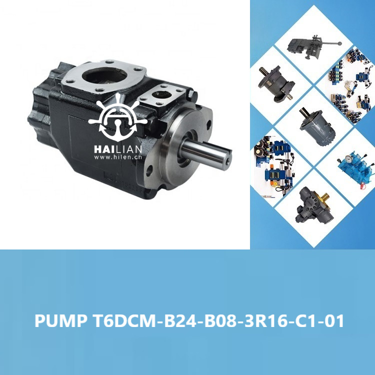 T6DCM-B24-B08-3R16-C1-01 hydraulic pump液压泵