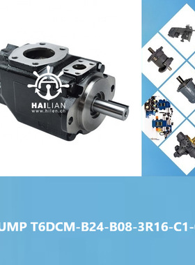 T6DCM-B24-B08-3R16-C1-01 hydraulic pump液压泵