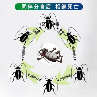 灭蟑螂药家用无蟑毒一窝端全厨房室内强力杀蟑螂药水喷剂克星神器