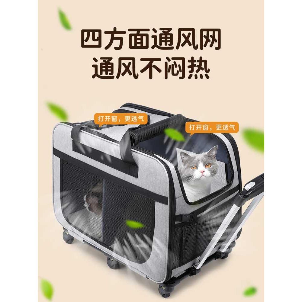 宠物拉杆箱中小型犬狗狗手拉车猫包便携外出两厢多猫大容量猫笼子