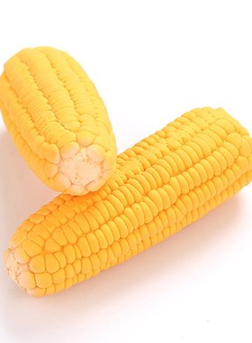 Pet Dog Puppy Latex Corn Shape Squeaky Bite-resistant Intera