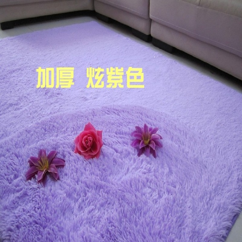 丝绒新款家用全铺满地毯卧室客厅茶几床边儿童房毯榻榻米地垫定制