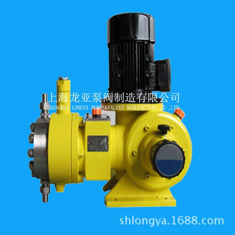 上海DP-09-07-X电磁隔膜计量泵 diaphragm metering pump
